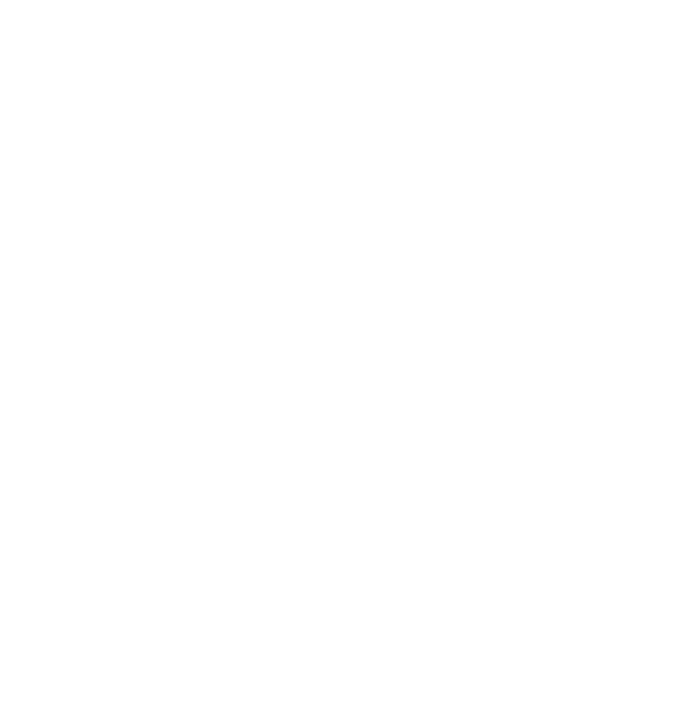 Bloxico logo